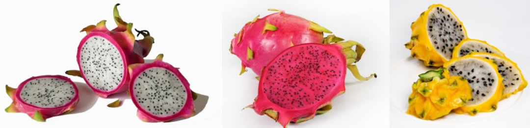 火龍果是仙人掌的果實(shí)嗎