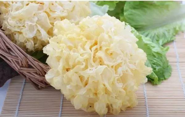 白木耳是銀耳嗎(白木耳和銀耳的區(qū)別) 白木耳是銀耳嗎(白木耳和銀耳的區(qū)別)