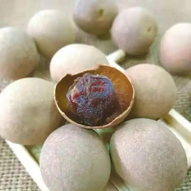 龍眼產地在哪里(十大優質龍眼產地) 龍眼產地在哪里(十大優質龍眼產地)