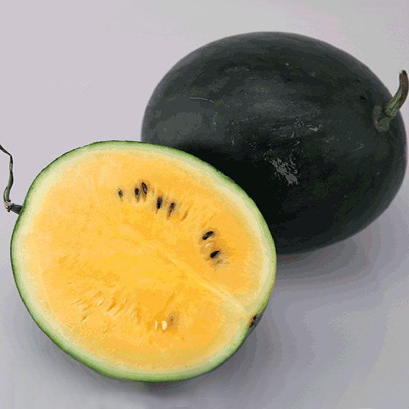 黃色西瓜是什么品種(黃皮西瓜品種介紹) 黃色西瓜是什么品種(黃皮西瓜品種介紹)