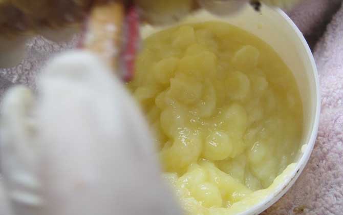 蜂王漿長(zhǎng)期吃會(huì)雌激素過(guò)量嗎？不會(huì)，蜂王漿中雌激素含量并不高！