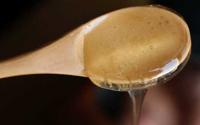 紫云英蜂蜜價格多少錢一斤？