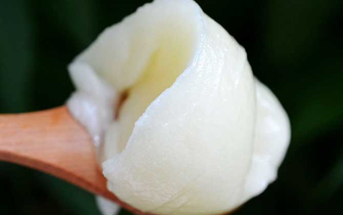 東北黑蜂雪蜜多少錢一斤？