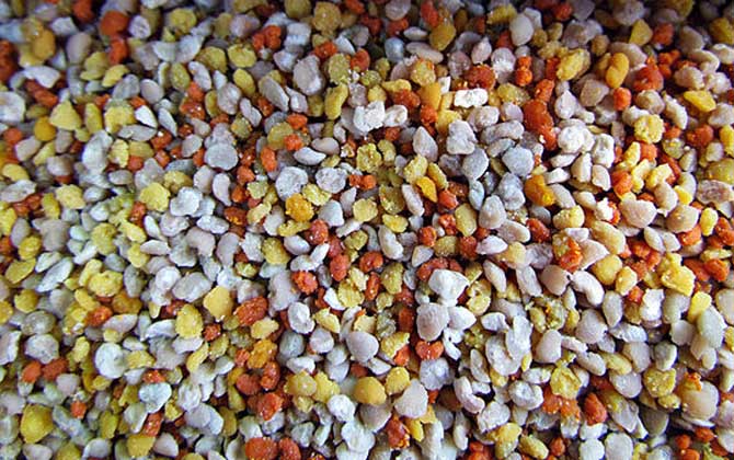 蜂花粉可以去黃褐斑嗎？