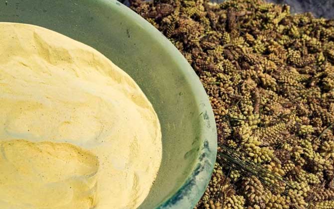 松花粉能治那九種?。?></a> </div>
        <div   id=