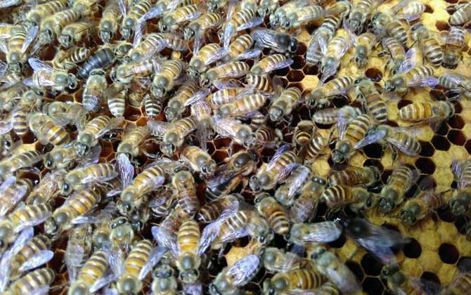 失王什么時(shí)候介王最好？